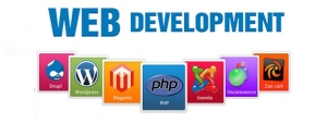 website development company in Delhi, gurugram (+91-98732092